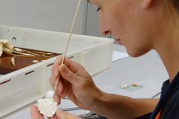 Photograph of conservator shaping new flower decoration