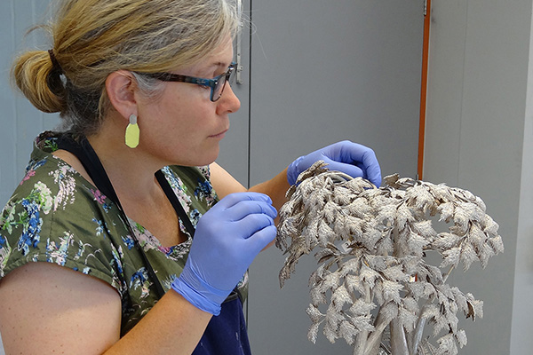 Conservator reassembling silver trophy