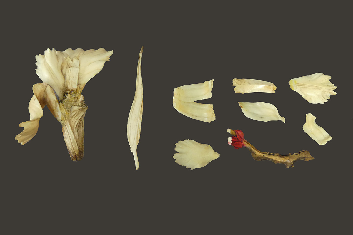 Photograph of damaged ivory flower before treatment