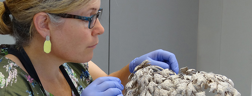 Objects conservator examining decorative silver