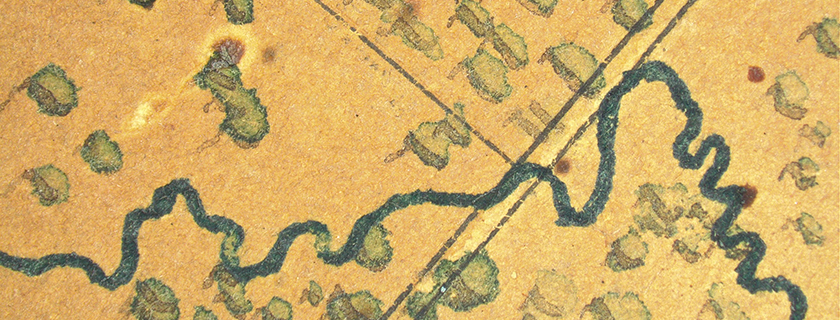 Detail of map