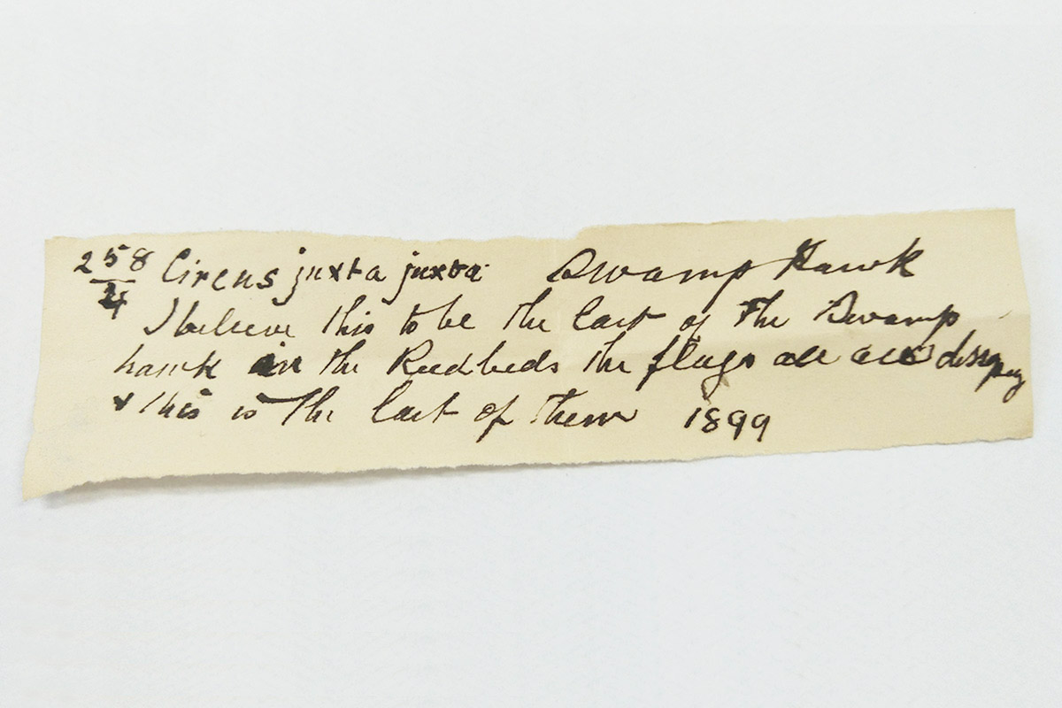 Label with text